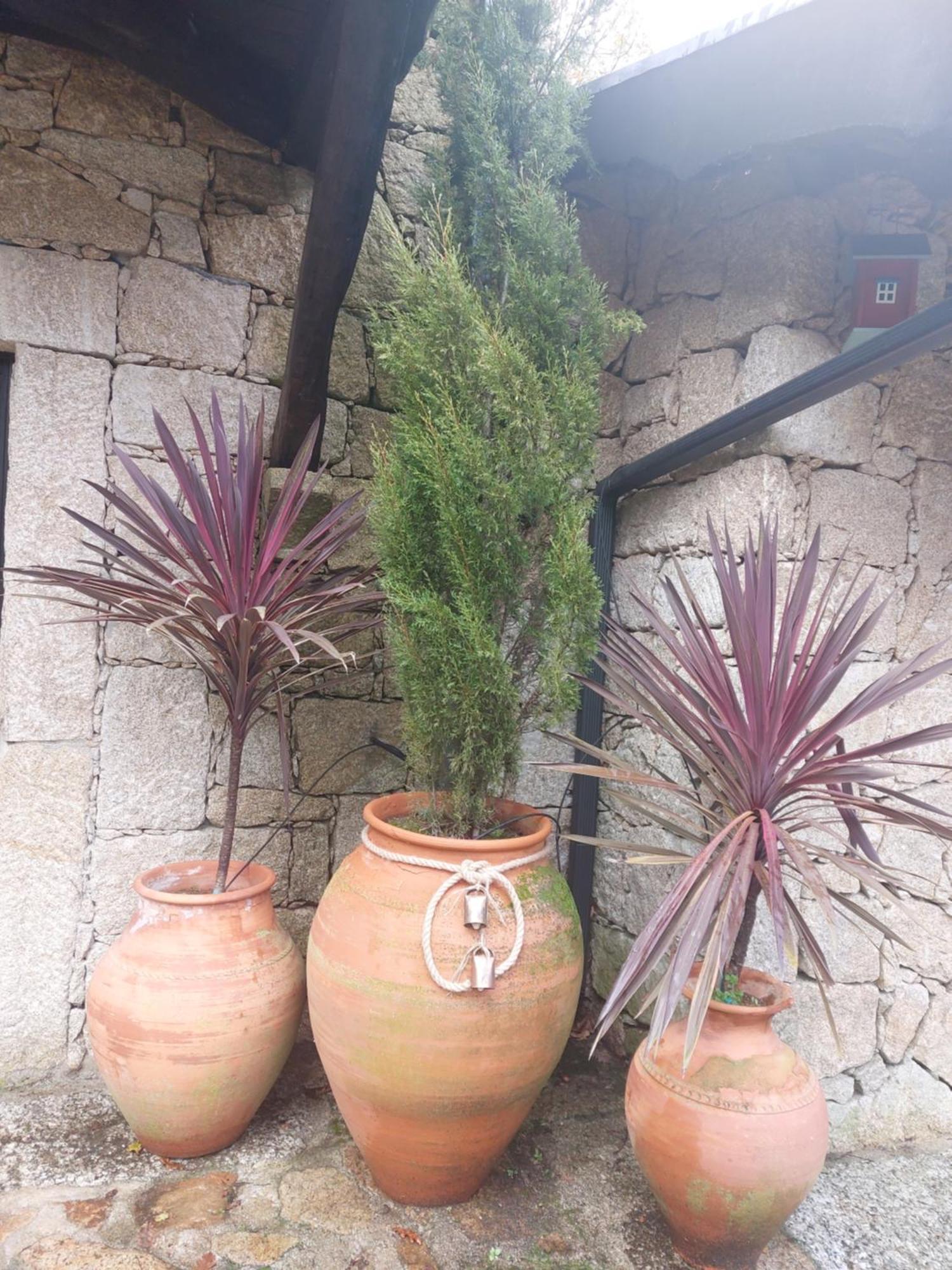 Quinta Do Caneiro Geres Exteriér fotografie